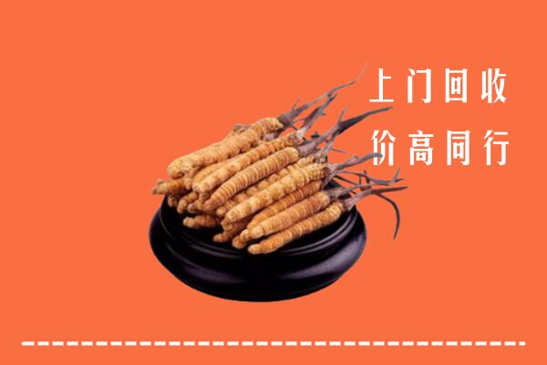 高价求购：海南万宁回收散虫草