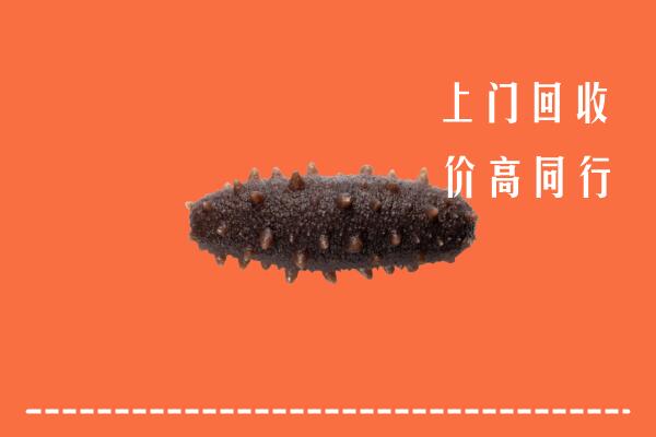 高价求购：海南万宁回收海参